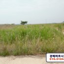 초락2리 마을회관 이미지