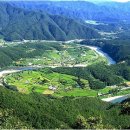 토마토펜션 이미지