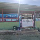 팔도낙지촌 | [울산 맛집] 단돈 만 원대에 생선이 5종류나? 겉바속촉 끝판왕 울산 '팔도낙지촌' 솔직 후기 ✨