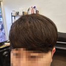 파보헤어 이미지
