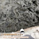 복룡리 화장실 이미지