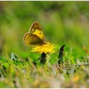 대국컴퓨터 이미지