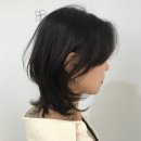 헤르만헤어 별내점 이미지