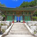 원주길카페촌 티스토리