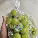 삼정농원 네이버블로그