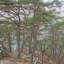 도화우리마트 이미지
