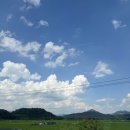 청림모텔 | 합천 빠지[봉산수상레저]후기✨