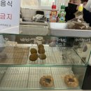 월하당