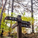 향로산 약수터 이미지