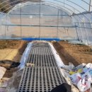 수청농장 이미지