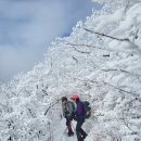 강원도 태백 함백산 산행1 2024.1.21 이미지