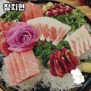 참치현 방문 후기: 숙성 참치의 특별한 맛을 경험하다!