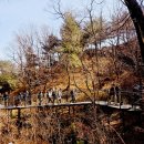 A Walk Through Friendship and Nature 이미지