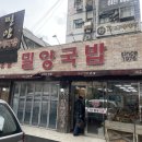 사상밀양국밥 | 사상 국밥 맛집 밀양국밥｜50년 전통 돼지국밥 솔직후기