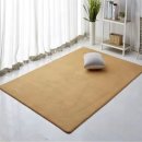 브라운카펫 이미지