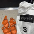 웰리스 | 와그웨어 웰리스 강아지 신발 후기 | 사이즈 팁 꼭 읽고 사세요! (내돈내산)