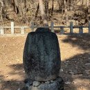 의령 수도사 석탑 및 승탑군 이미지