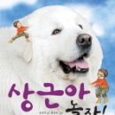 놀자 이미지