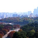 하늘계단 이미지