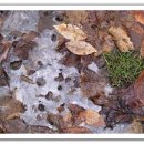 동현세탁소 이미지