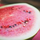 리스펙짐 이미지