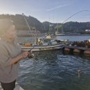 궁농오토캠핑장 이미지