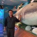 땅끝해양 자연사박물관 이미지