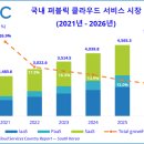 올퍼블릭 BI코리아