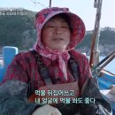 애원민박