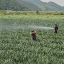 장수군농업기술센터 이미지