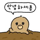 풍원 빌딩 이미지