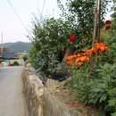 고아리벽화고분 이미지