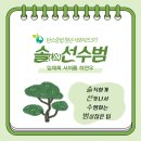 팀솔 이미지