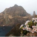 경북대로(동) 이미지