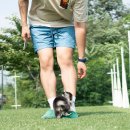 탑클래스 퍼피 이미지