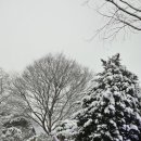 여주 마조렐글램핑리조트 이미지