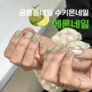 호이네일 | 공릉동네일 노원네일 ‘수키몬네일‘ 자석젤 원컬러 후기🍈