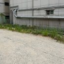 다온닭한마리