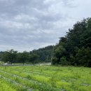 솔거리 하우스 이미지