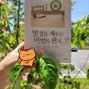 품위와 여유를 갖는 문인화 | 매일의 삶에 활력을! 열정을 깨우는 마법 편지 리뷰