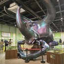 여주곤충박물관 이미지