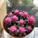 정현한의원 이미지