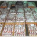 11월 6일(음. 9월 20일. 11물) 목포 어판장 생선풍경과 태양수산 판매품목 이미지