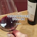 이문97 | 와인앤모어데일리이문점에서 만난 알라모스 말벡