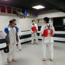 국기태권도장 제1도장 | 낙성대 성인태권도 추천 — 월 19만원 무제한, 금강태권도 체험 후기 솔직하게 공개합니다