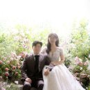 로즈와 나 | Chapter 11.[레이디로즈스튜디오]웨딩촬영 후기