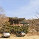 더따숨