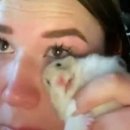 삼익비치아파트 이미지