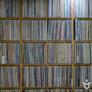 종운전자 이미지