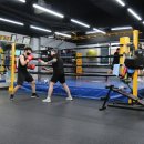 UP복싱클럽 이미지